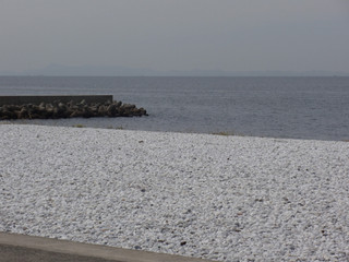 Pa040020_2