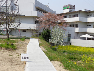 遊歩道散策(*^^)v（平成２６年４月１０日）