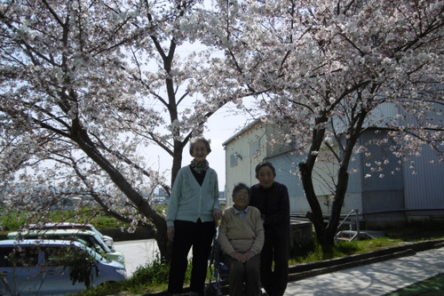 桜を見に行きました。（ｈ27.4.1）