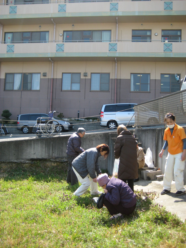 土筆採りに行きました。（Ｈ24年4月4日　ひなた）