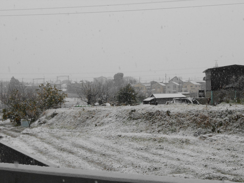 　「1月14日（月）大阪狭山市、この冬初の積雪」(H25.1.15)