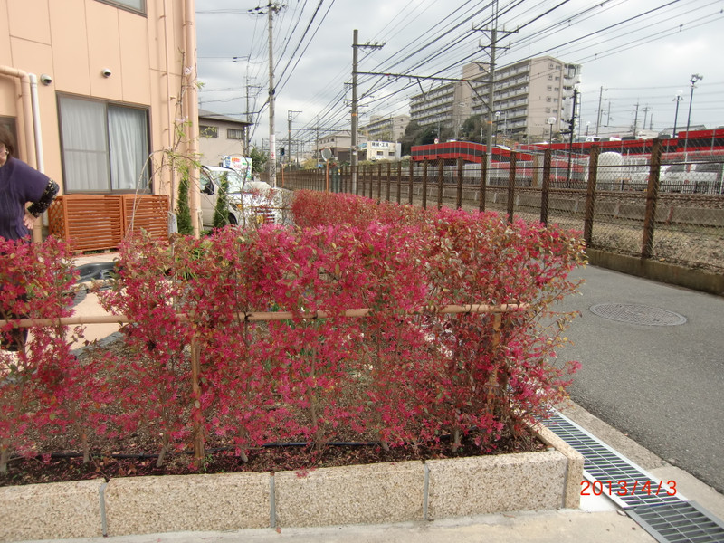 Photo_5
