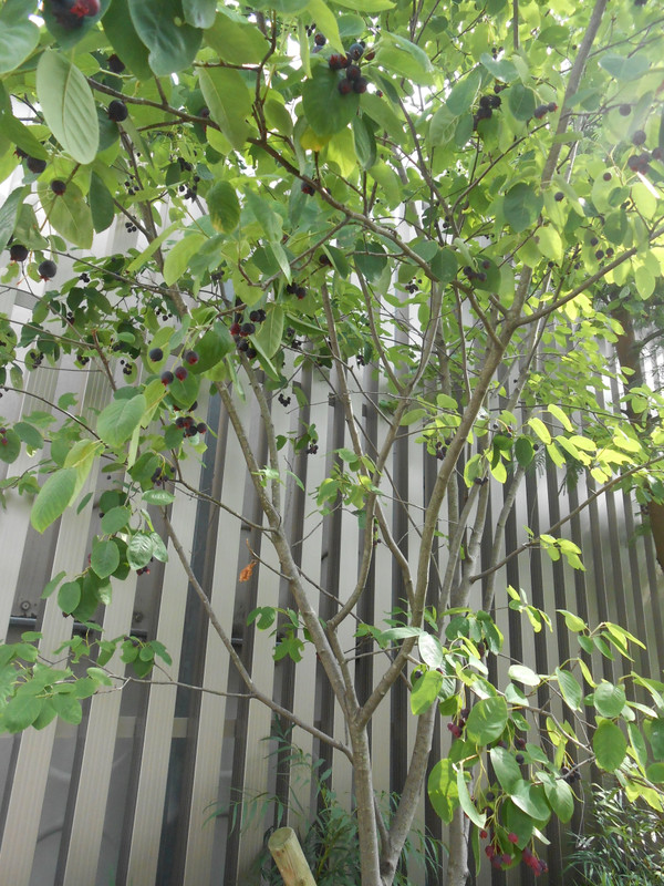 Dscn2900