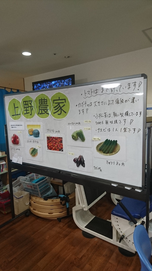新鮮野菜の販売☆上野FARM第２弾☆(2017.07.12)